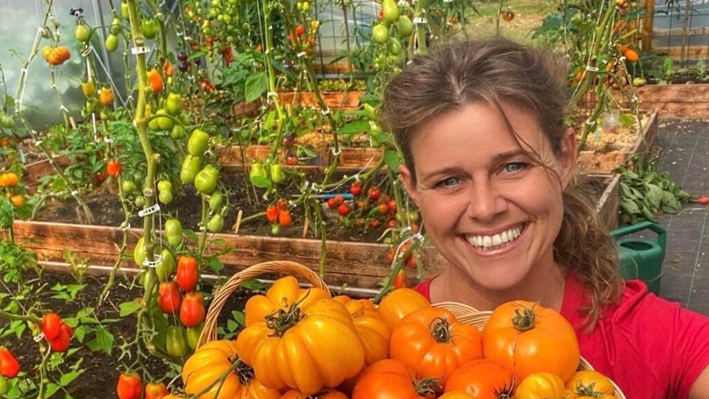 Yen i have med en kurv med friskhøstede gule tomater