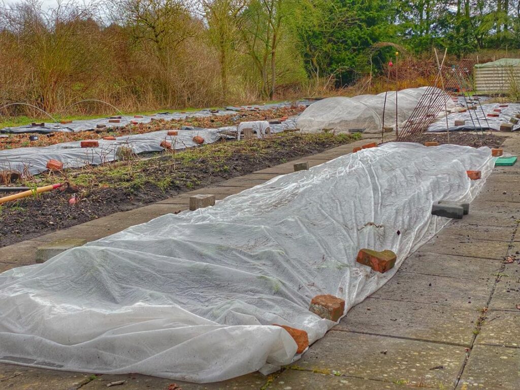 Nyplantet bed dækket med fiberdug 