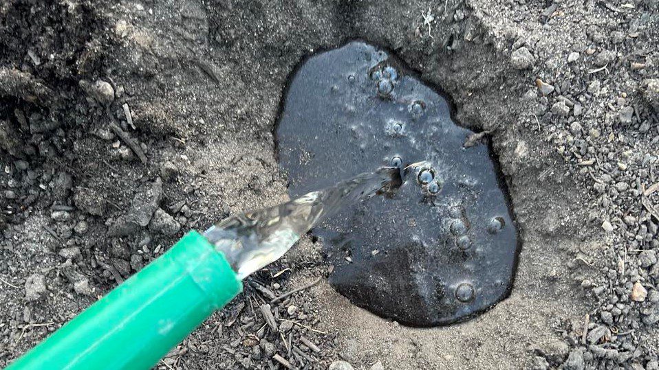 Vanding i plantehul før plantning