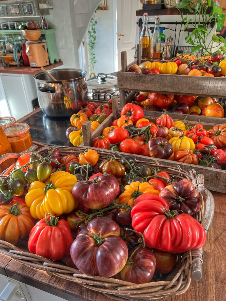 Tomathøst og konservering i Yens Have
