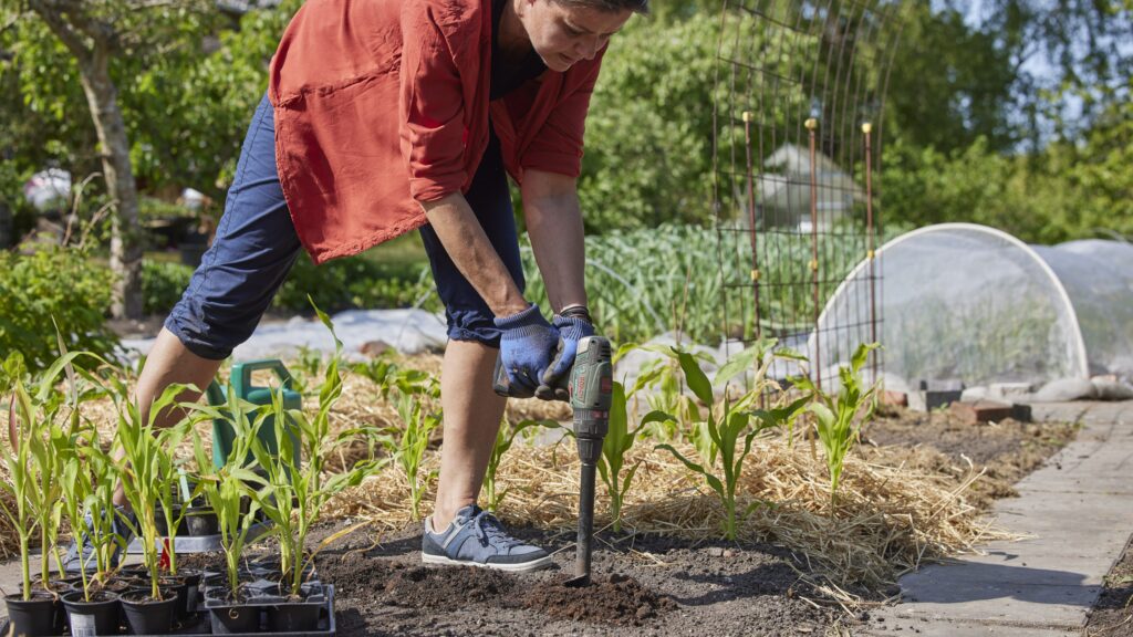 Udplantning med jordbor i Yens have