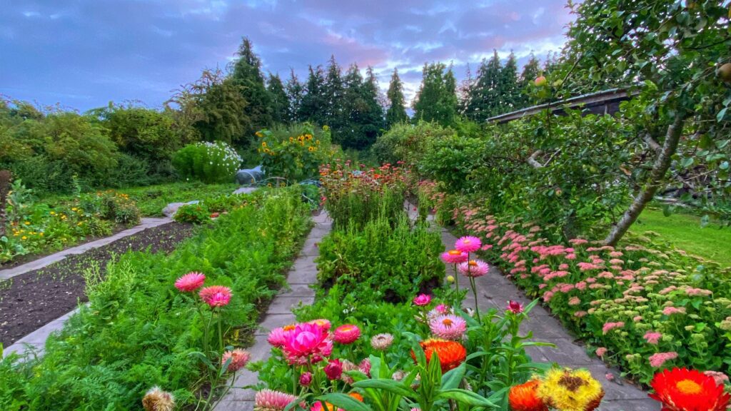 Køkkenhavekurser i Yens Have (Yen Frydensberg Egebak)