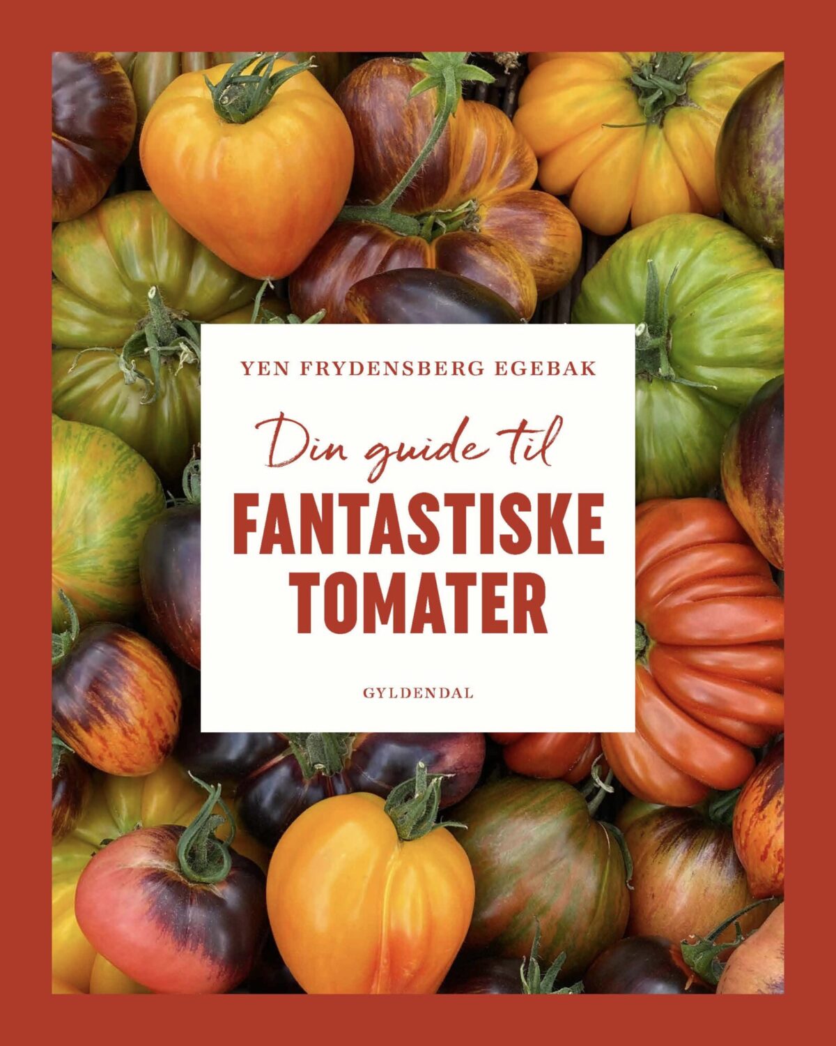 Din guide til fantastiske tomater