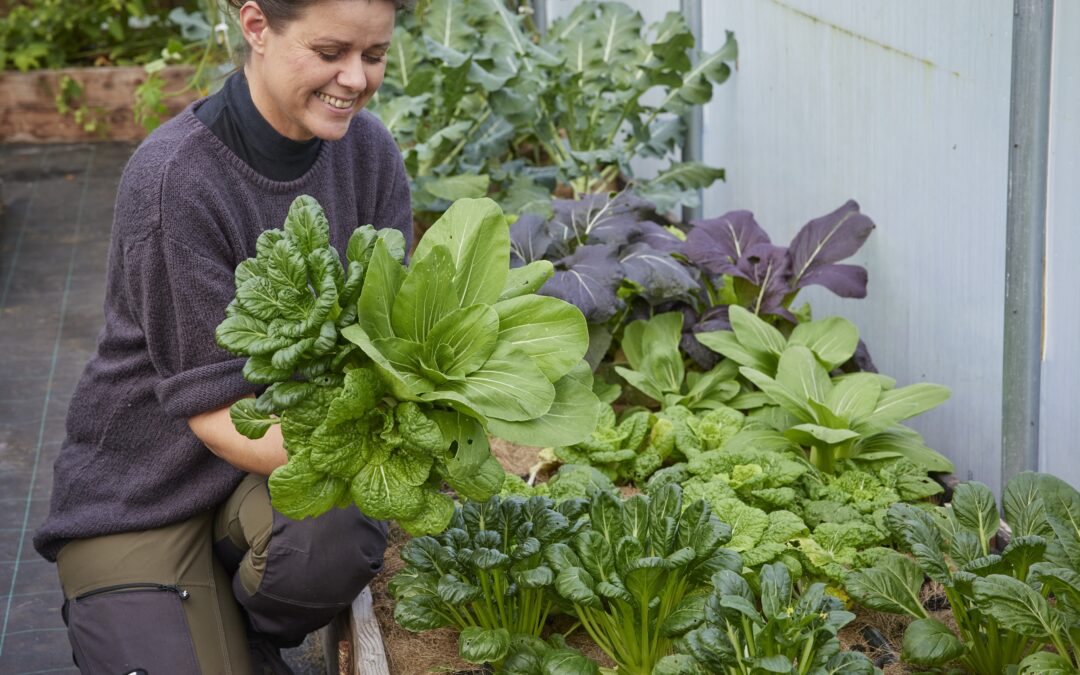 Vinterdyrkning i praksis – hvad kan jeg så i september?