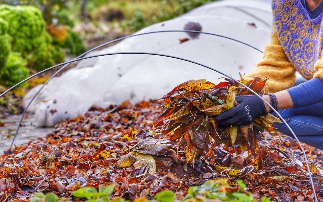 Køkkenhaven i november – sådan bruger du jorddække