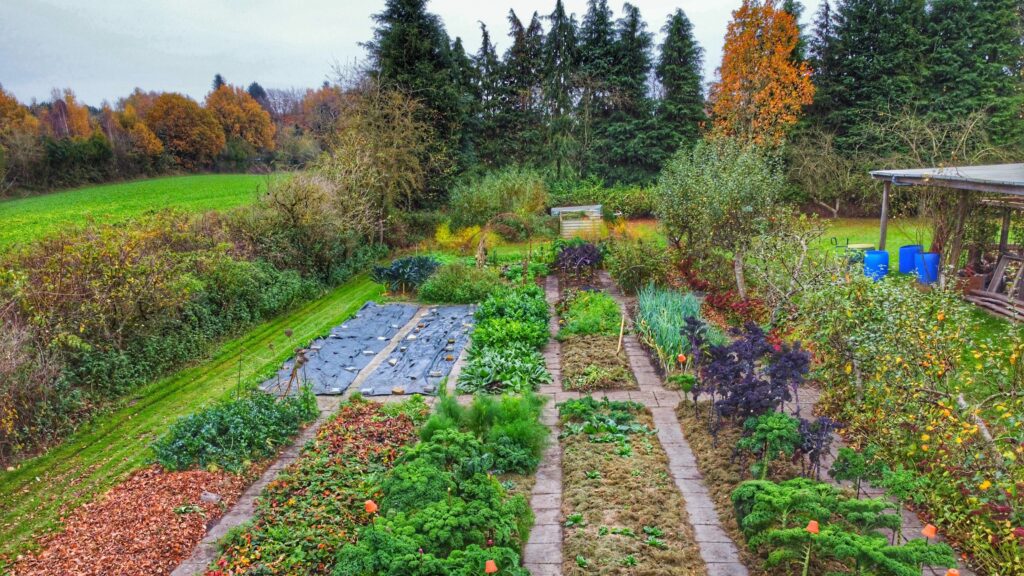 Jorddække i Yens regenerative køkkenahve i november